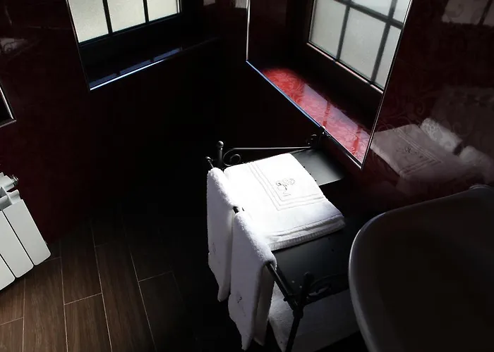 医疗乡村民宿 *